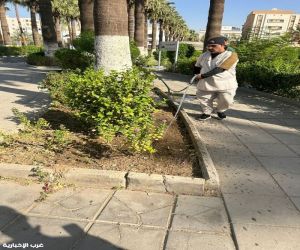 مبادرتين تطوعيتين لسقيا ومتابعة الشتلات في عدد من المواقع بمحافظة جدة
