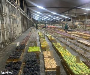 “بيئة الطائف” تكثف رقابتها على سوق الخضار بالتزامن مع موسم فواكه الطائف