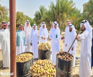 ورشة عمل عن " تحويل المخلفات الزراعية إلى موارد مستدامة" بالعرضيات
