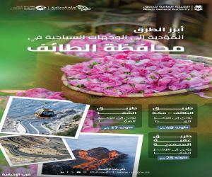 تطور شبكة الطرق المؤدية إلى الطائف يعزز من نمو وازدهار السياحة في عروس المصائف