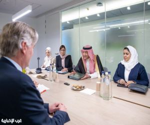 نائب وزير الخارجية يلتقي مسؤولين في البرلمان الأوروبي لبحث سبل التعاون الثنائي