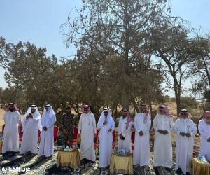 *المركز الوطني لتنمية الغطاء النباتي ومكافحة التصحر يُطلق مبادرة تقليم أشجار العرعر في منطقة عسير*