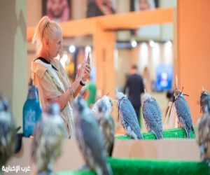 29 مليون ريال في 4 أعوام.. المزاد الدولي لمزارع الإنتاج للصقور يجمع العالم في الرياض