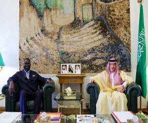 الخريجي يبحث مع رئيس بعثة الصليب الأحمر بدول الخليج سبل تعزيز التعاون