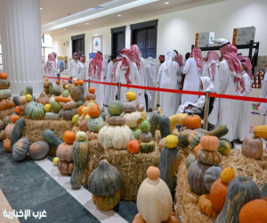 أكثر من 150 نوعًا من اليقطين تستهوي زوار معرض أطايب ثمار القصيم