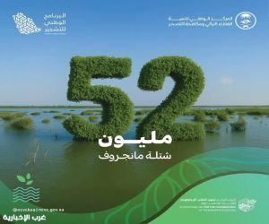 “الغطاء النباتي” زراعة 52 مليون شجرة مانجروف على سواحل المملكة بالشراكة مع مختلف القطاعات