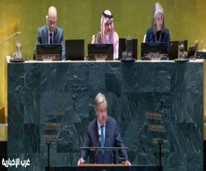 وزير الخارجية يعتمد الوثيقة الختامية لمؤتمر حل الدولتين ويدعو جميع الدول لتأييدها