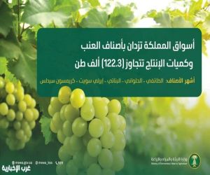 أسواق المملكة تزدان بأجود أصناف العنب وكميات الإنتاج تتجاوز (122.3) ألف طن