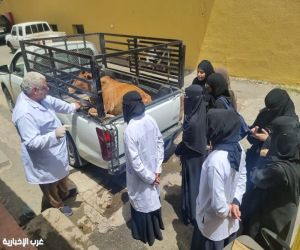 ‏بيئة الطائف تنظّم ورشة تدريبية لتأهيل خريجات الطب البيطري