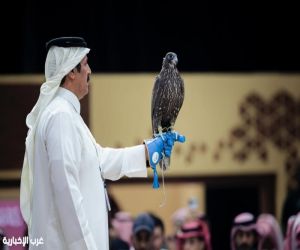 بيع صقرين بـ 180 ألف ريال في الليلة الأولى لمنصة المزاد الدولي لمزارع إنتاج الصقور 2025