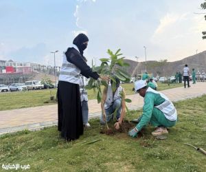 جمعية وارفة البيئية تشارك في زراعة شتلات "الجاكرنداوالبونسيانا بعدة مواقع بمنطقة عسير