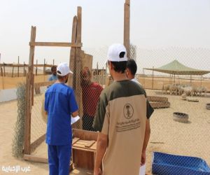 ‏بيئة جدة تنفذ جولة ميدانية لدعم وتوعية صغار مربي الماشية