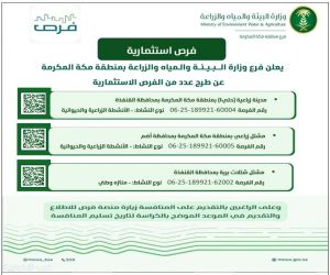 ‏“بيئة منطقة مكة المكرمة” تطرح فرصًا استثمارية واعدة في القطاع الزراعي بعدد من المحافظات