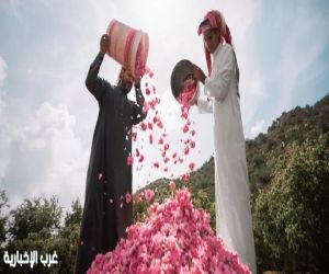سفاري ونسيم الشفا وحديقة الردف.. صيف الطائف ينتظرك