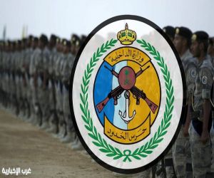 حرس الحدود بمنطقة مكة المكرمة يعيد دلفينًا للبحر بعد أن جرفته الأمواج إلى الشاطئ