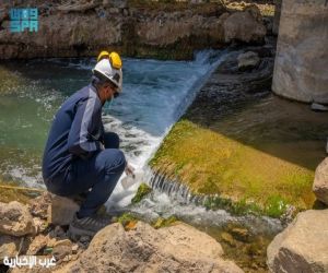 "الالتزام البيئي".. يرسخ دوره الرقابي بتحليل أكثر من 11 ألف عينة بيئية منذ مطلع 2025