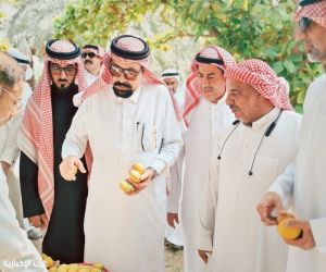 من المزرعة إلى الصناعة : جولة ميدانية تفتح آفاقًا جديدة أمام اللوز القطيفي