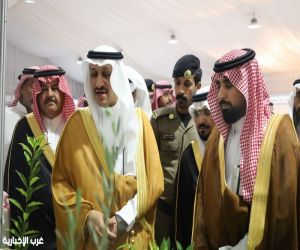 ‏محافظ ميسان يفتتح مهرجان الحبوب والعسل والسمن 2025 لتعزيز المنتجات المحلية ودعم المزارعين