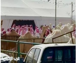 بيئة الرياض توقف مزادًا غير نظامي للإبل