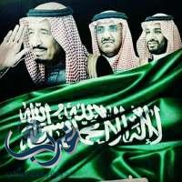 Saudi Arabia 's security and prosperity