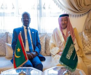 نائب وزير الخارجية يلتقي وزير خارجية موريتانيا