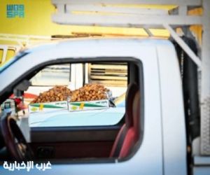 مبيعات كرنفال بريدة للتمور تتجاوز 627 مليون خلال شهر أغسطس
