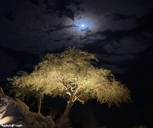 ليلة من الفرح والسعادة في شفا الطائف