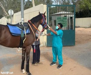 مركز "وقاء" يعلن رسميًّا خلو المملكة من مرض الرعام