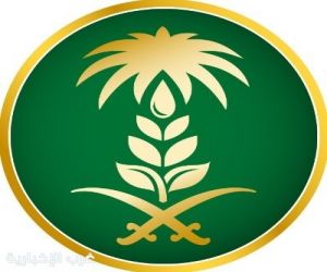 "البيئة" تُعلن اشتراطات تعبئة وتغليف الخضار والفواكه لضمان جودة وسلامة المنتجات الغذائية