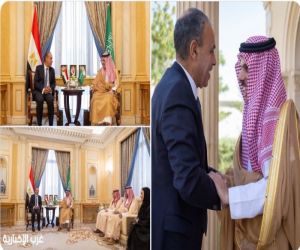 وزير الخارجية يبحث التطورات الإقليمية مع نظيره المصري