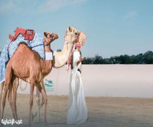 مزاد الهجن.. إضافة نوعية لمعرض الصقور والصيد السعودي الدولي 2025