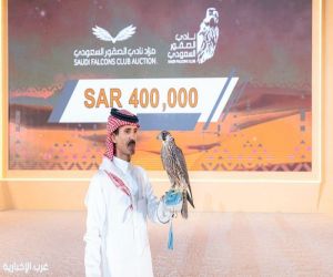 مزاد نادي الصقور السعودي.. مبيعات تتجاوز 41 مليون ريال في 5 أعوام