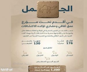 اكتشاف يوثق أكثر من 12 ألف سنة من مواقع الفن الصخري في صحراء النفود