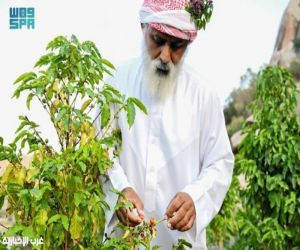 اليوم العالمي للقهوة.. رمز للتلاقي الثقافي والاجتماعي ومصدر اقتصادي عالمي