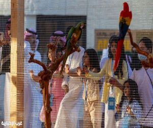 معرض الصقور والصيد السعودي الدولي 2025 يقدّم "السفاري" منطقةً جديدة للتعريف بالحيوانات المهددة بالانقراض