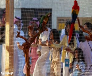 معرض الصقور والصيد السعودي الدولي 2025 يقدّم "السفاري" منطقة جديدة للتعريف بالحيوانات المهددة بالانقراض