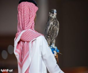 بربع مليون ريال.. بيع صقرين من منغوليا لأول مرة بمعرض الصقور والصيد السعودي الدولي