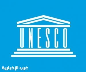العناني يخوض غدا السباق الانتخابي وسط دعم عربي وإفريقي كبير