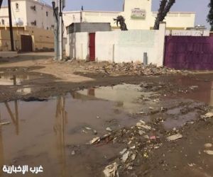 بلدة العدايا في صبيا شوارع متهالكة والبلدية وعود وهمية