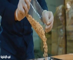 إحباط تهريب أكثر من 47 ألف حبة من الإمفيتامين المخدر في منفذ الحديثة