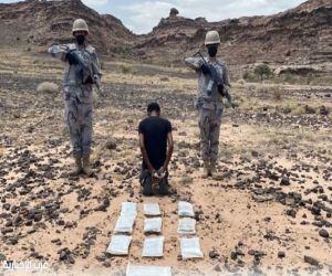 القبض على مخالف لتهريبه 31.8 كيلوجرامًا من مخدر الحشيش في جازان