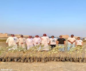 ‏بيئة الليث تزرع 2000 شتلة مانجروف على شاطئ الليث الجنوبي