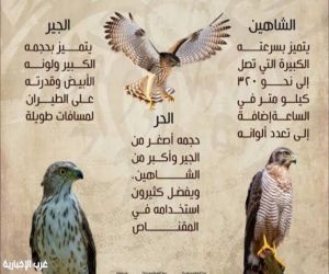 موسم قنص الصقور في المملكة العربية السعودية: تراث يمتد عبر الأجيال