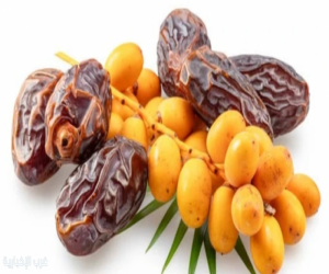 دراسة توضح الفرق بين التمر المجفف والطازج من حيث فوائده للجسم. دراسة توضح الفرق بين التمر المجفف والطازج من حيث فوائده للجسم.