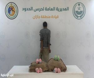 الأفواج الأمنية بعسير تقبض على مواطنين لترويجهما (5) كيلو جرامات من القات المخدر