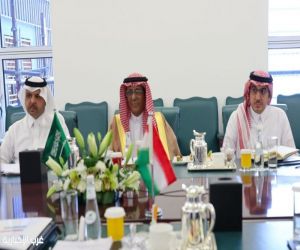 الوكيل الرسي يلتقي وكيل وزارة الخارجية الإيرانية للشؤون القانونية والدولية