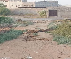 قرية ابو حجر الاسفل في صامطة …شوارع متهالكة وطريق خارج الخدمة وظلام دامس