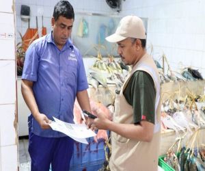 "بيئة المدينة المنورة" تُنفّذ أكثر من 700 جولة تفقدية في أسواق النفع العام ضمن الحملة الرقابية لسلامة الأغذية