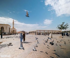 شتاء المدينة المنورة.. موسم ثقافي وسياحي يعانق التاريخ والترفيه