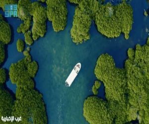 كم جزيرة يضم أرخبيل جزر فرسان؟